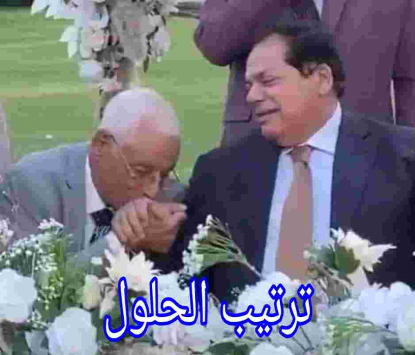 حسام موافي ويكيبيديا