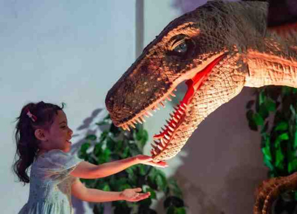 كم عدد الديناصورات في تجربة بليبي في بوليفارد سيتي اليوم 2024